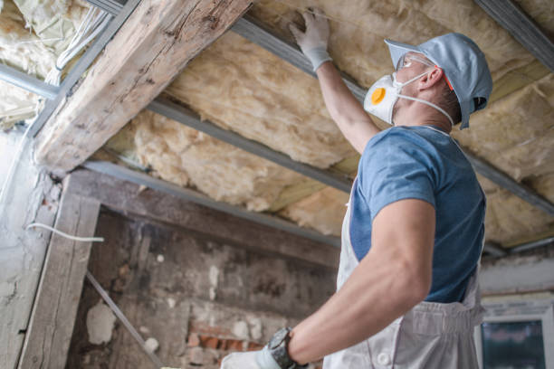 Types of Insulation We Offer in Gassville, AR
