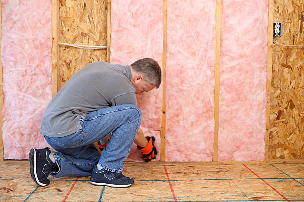 Professional Insulation Contractor in Gassville, AR